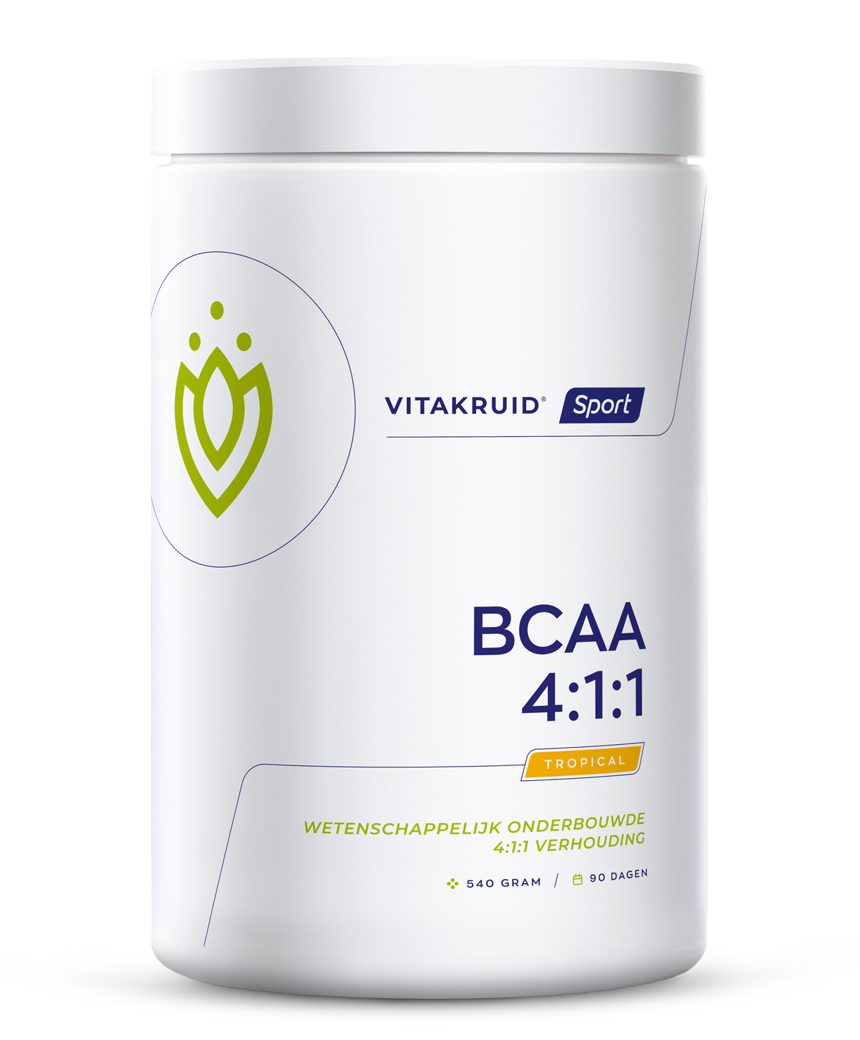 Vitakruid BCAA 4:1:1 l-leucine, l-isoleucine & l-valine 540.00 Gram