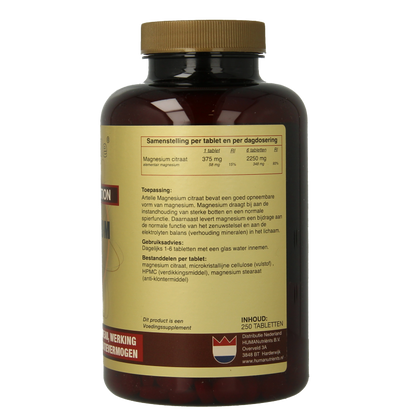 Artelle Magnesium basic 250 Tabletten
