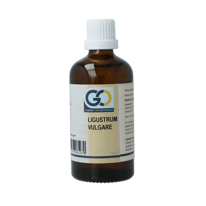 GO Ligustrum vulgare 100 Milliliter