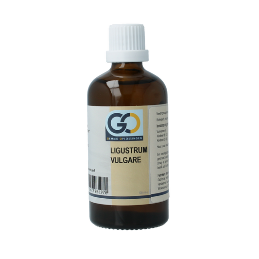 GO Ligustrum vulgare 100 Milliliter