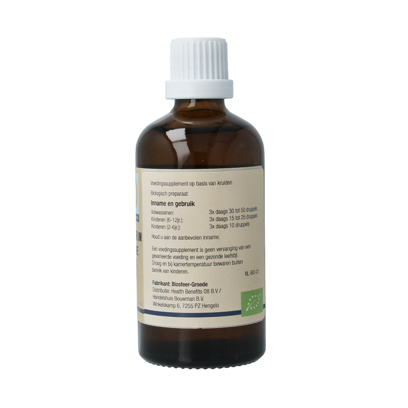 GO Ligustrum vulgare 100 Milliliter