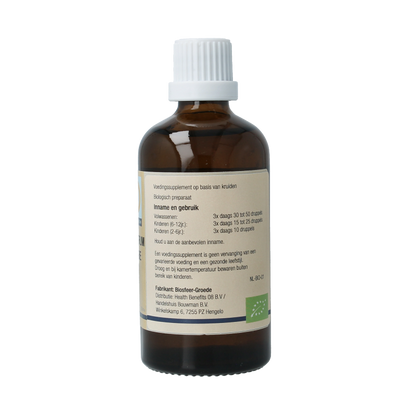 GO Ligustrum vulgare 100 Milliliter