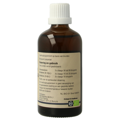 GO Sambucus nigra bio 100 Milliliter