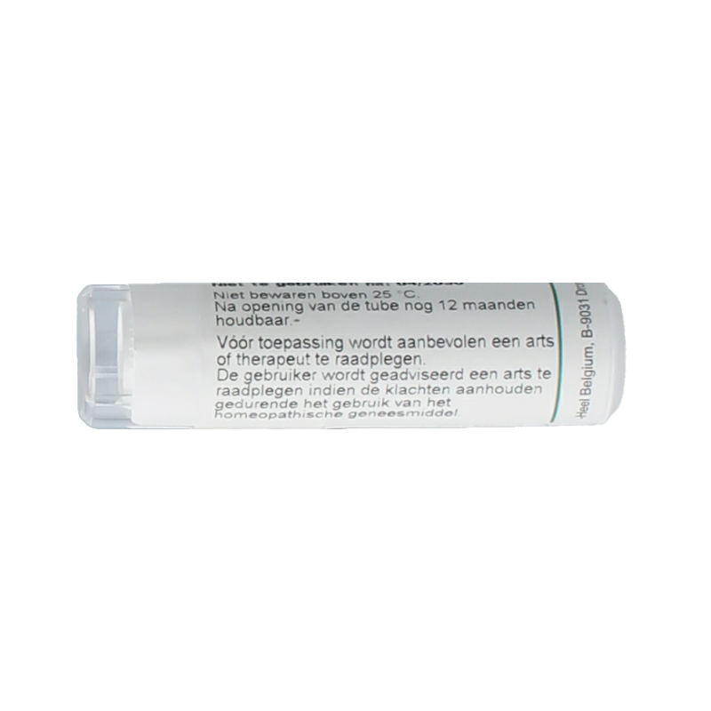 Homeoden Heel Apis Mellifica 6K 6 Gram