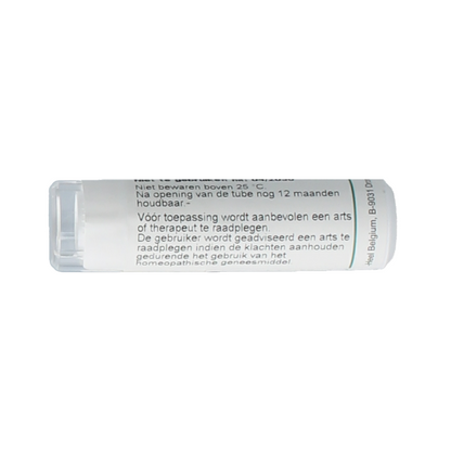 Homeoden Heel Apis Mellifica 6K 6 Gram