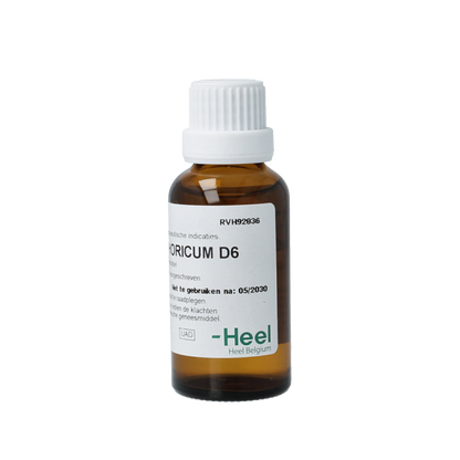 Heel Magnesium muriaticum D6 30 Milliliter