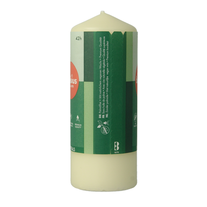 Bolsius Stompkaars 150/58 soft pearl 1 Stuks