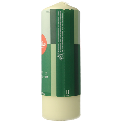 Bolsius Stompkaars 200/68 soft pearl 1 Stuks