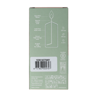 Bolsius Stompkaars 120/58 white silver 1 Stuks