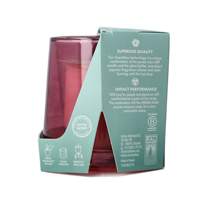Bolsius Clean light startkit cedarwood & vetiver 1 Stuks