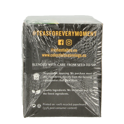 Hari Tea Jasmine tea & ginger within & without bio 10 Stuks