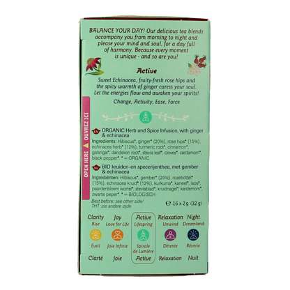 Shoti Maa Lifespring echinacea, ginger & rosehip bio 16 Zakjes