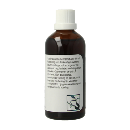 Therapeutenwinkel Equisetum 100 Milliliter