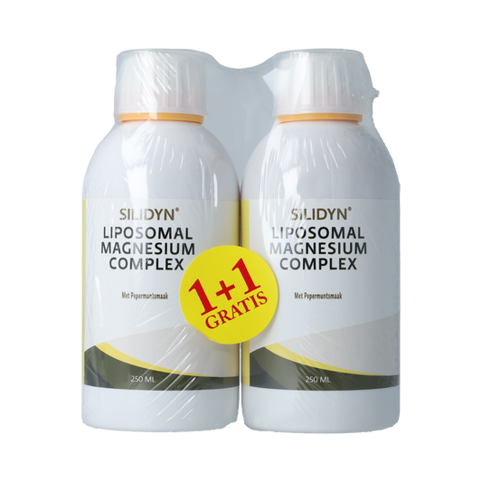 Silidyn Liposomal Magnesium Compl 250ml AKTIE 1+1 gratis 500.00 Milliliter
