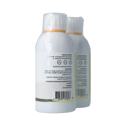 Silidyn Liposomal Magnesium Compl 250ml AKTIE 1+1 gratis 500.00 Milliliter