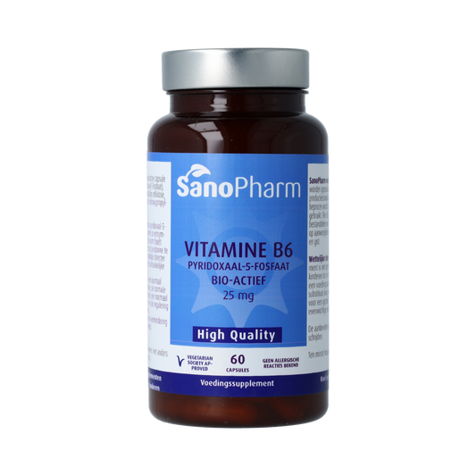 SanoPharm High Quality Vitamine B6 60.00 Capsules