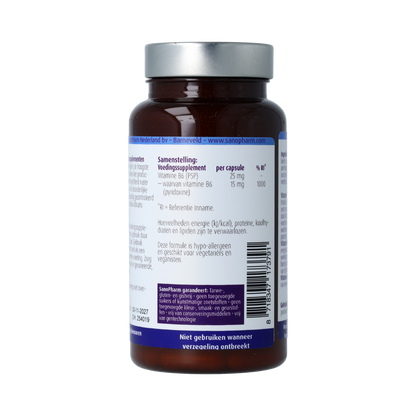 SanoPharm High Quality Vitamine B6 60.00 Capsules
