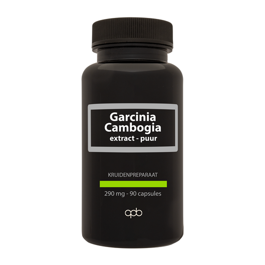 APB Holland Garcinia cambogia puur 290mg 90 Vegetarische capsules