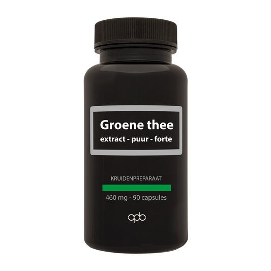 APB Holland Groene thee extract puur forte  460mg 90 Vegetarische capsules