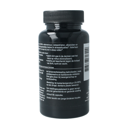APB Holland Valeriaan extract puur forte 500mg 90.00 Capsules