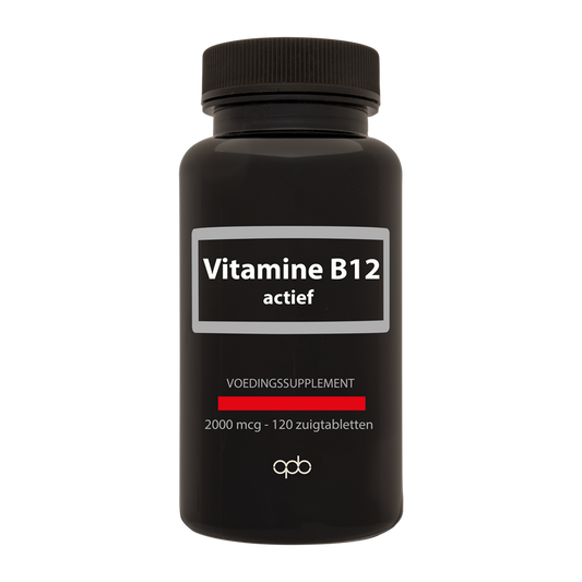 APB Holland Vitamine B12 actief 2000mcg 120 Zuigtabletten
