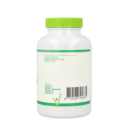 Vitiv Borage olie 100.00 Softgels
