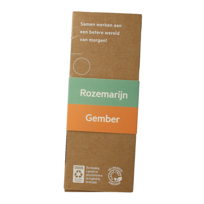 The Green Lab Co Handzeep premium starterset rozemarijn & gember 1 Set