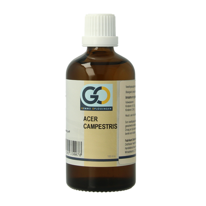 GO Acer campestris bio 100 Milliliter