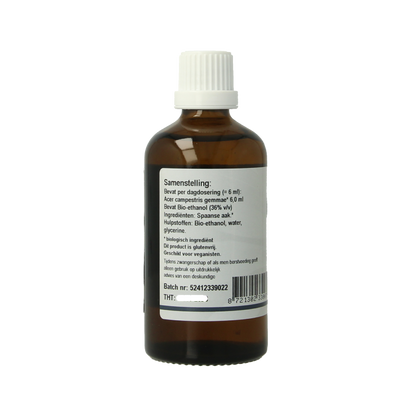 GO Acer campestris bio 100 Milliliter