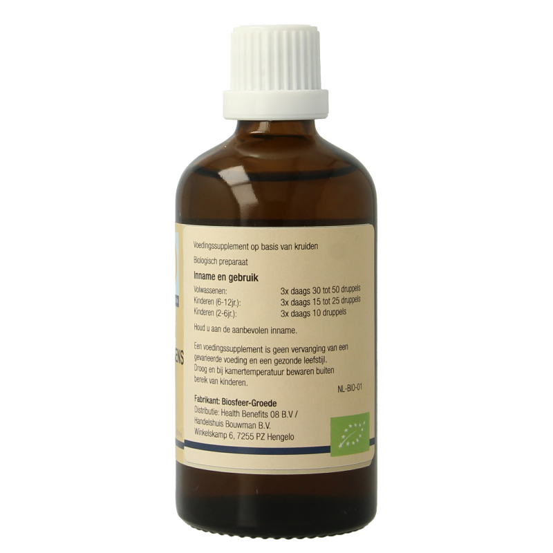 GO Betula pubescens bio 100 Milliliter