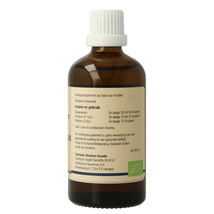 GO Betula pubescens bio 100 Milliliter