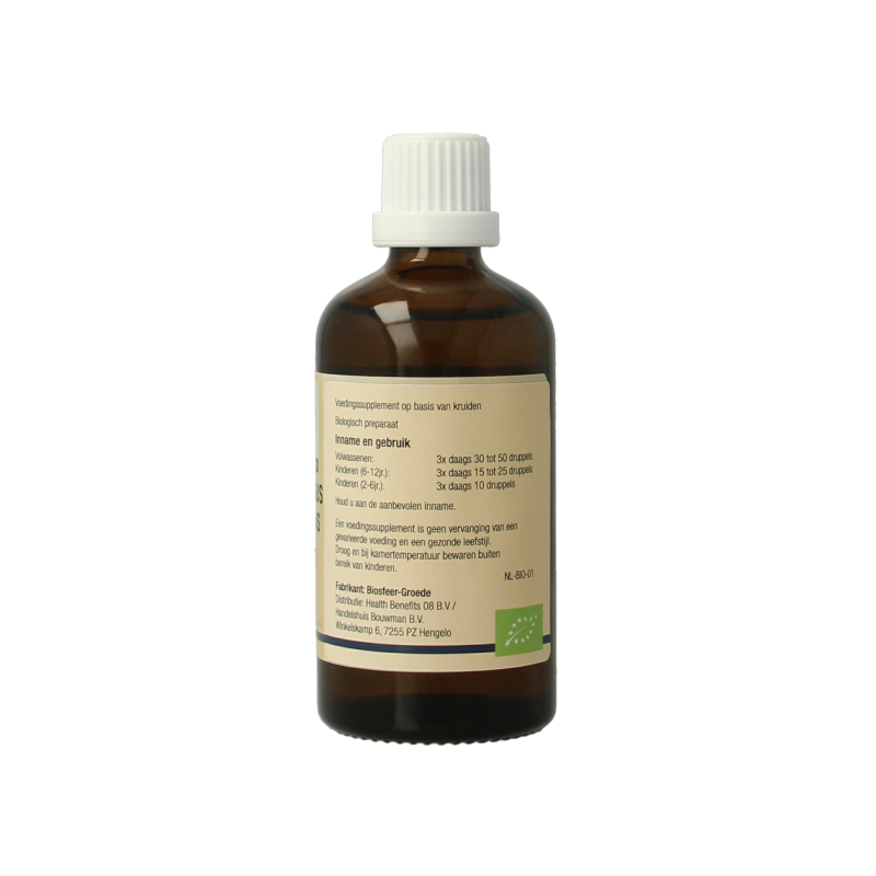 GO Carpinus betulus bio 100 Milliliter