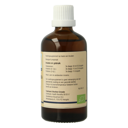 GO Castanea vesca bio 100 Milliliter