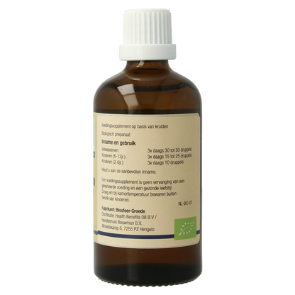 GO Ribes nigrum bio 100 Milliliter