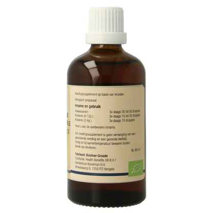 GO Rosmarinus officinalis bio 100 Milliliter