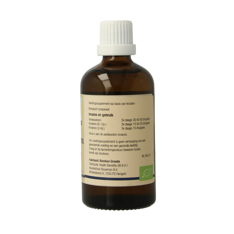 GO Ulmus campestris bio 100 Milliliter