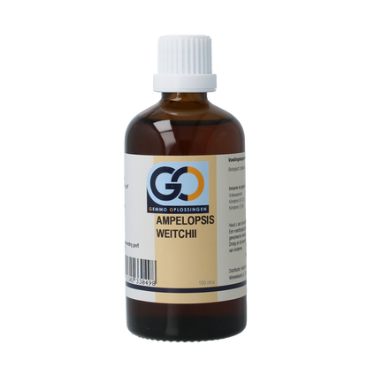 GO Ampelopsis weitchii bio 100 Milliliter