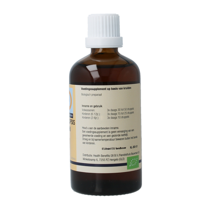 GO Ampelopsis weitchii bio 100 Milliliter