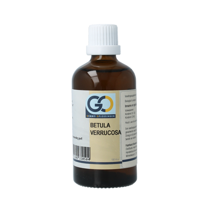 GO Betula verrucosa bio 100 Milliliter
