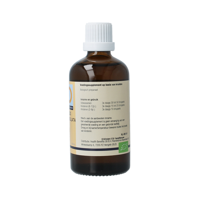 GO Quercus pedunculata 100.00 Milliliter