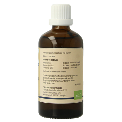 GO Ficus carica bio 100 Milliliter