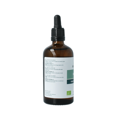Aromedica Beuk gemmo tinctuur - Fagus sylvatica bio 100 Milliliter