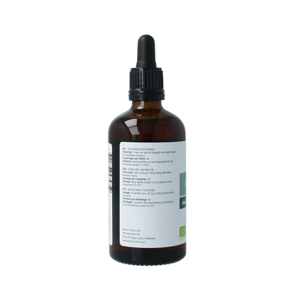 Aromedica Rozemarijn gemmo tinc - Rosmarinus officinalis bio 100 Milliliter