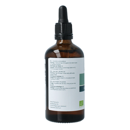 Aromedica Vijg gemmo tinctuur - Ficus carica bio 100.00 Milliliter