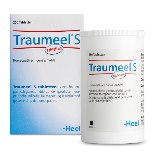 Heel Traumeel S 250.00 Tabletten