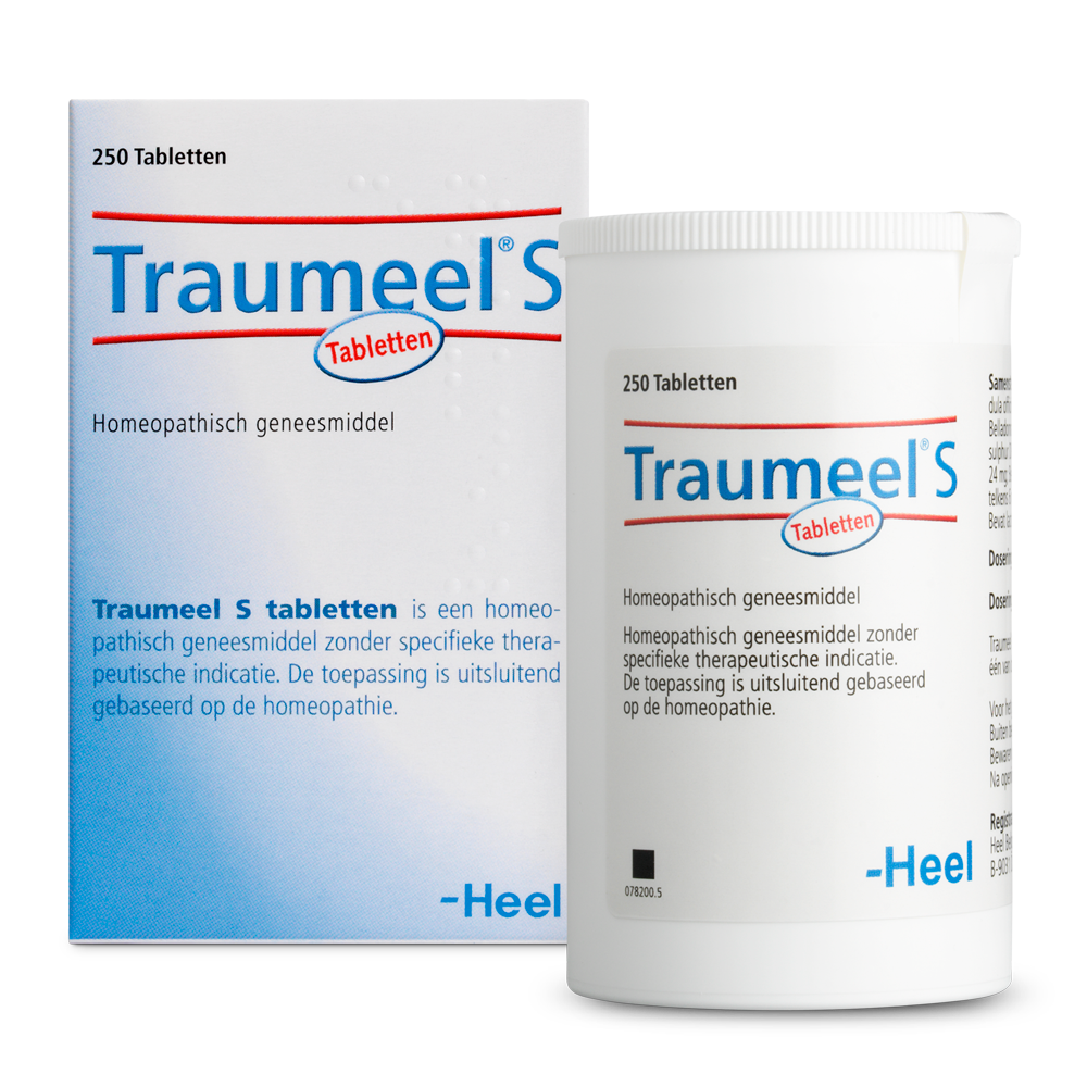 Heel Traumeel S 250.00 Tabletten