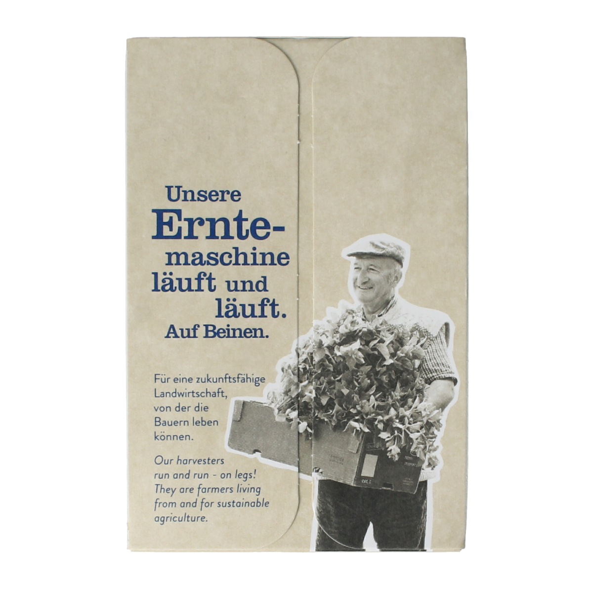 Sonnentor Kerst chai thee bio 18.00 Zakjes