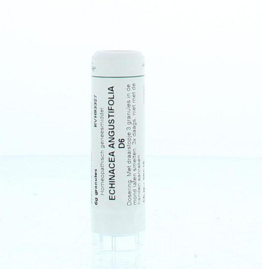 Homeoden Heel Echinacea angustifolia D6 6 Gram