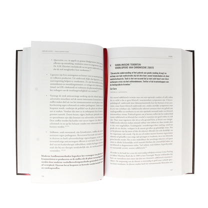 Succesboeken Dodelijke leugens 1.00 Boek