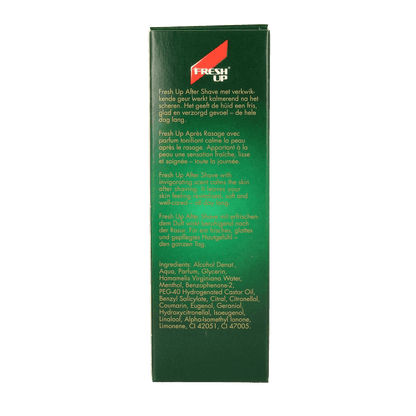 Fresh Up Original roller 100 Milliliter - DrogistWereld